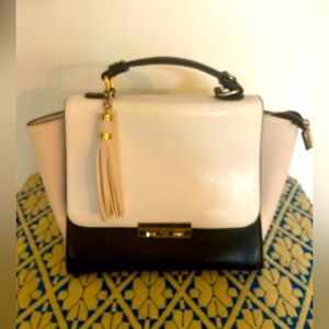 Versatile navy & white bag